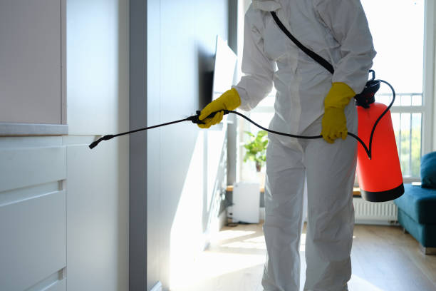Mold Testing and Removal in Seven Corners, VA