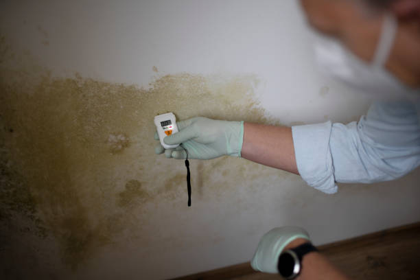Seven Corners, VA Mold Removal Company